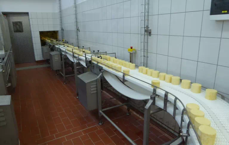 produkcja sera